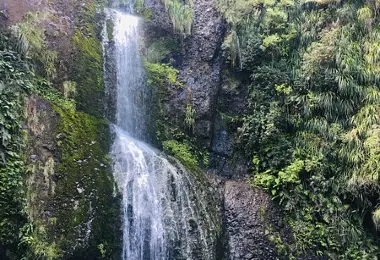 Kitekite Falls รูปภาพAttractionsยอดนิยม