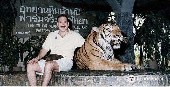 Tiger Park Pattaya3