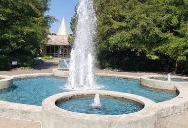 Memphis Botanic Garden 熱門景點照片