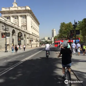 Urban Movil