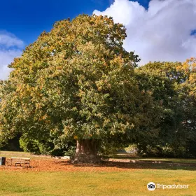 Cranford Country Park