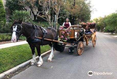 Yellow Rose Carriage Co