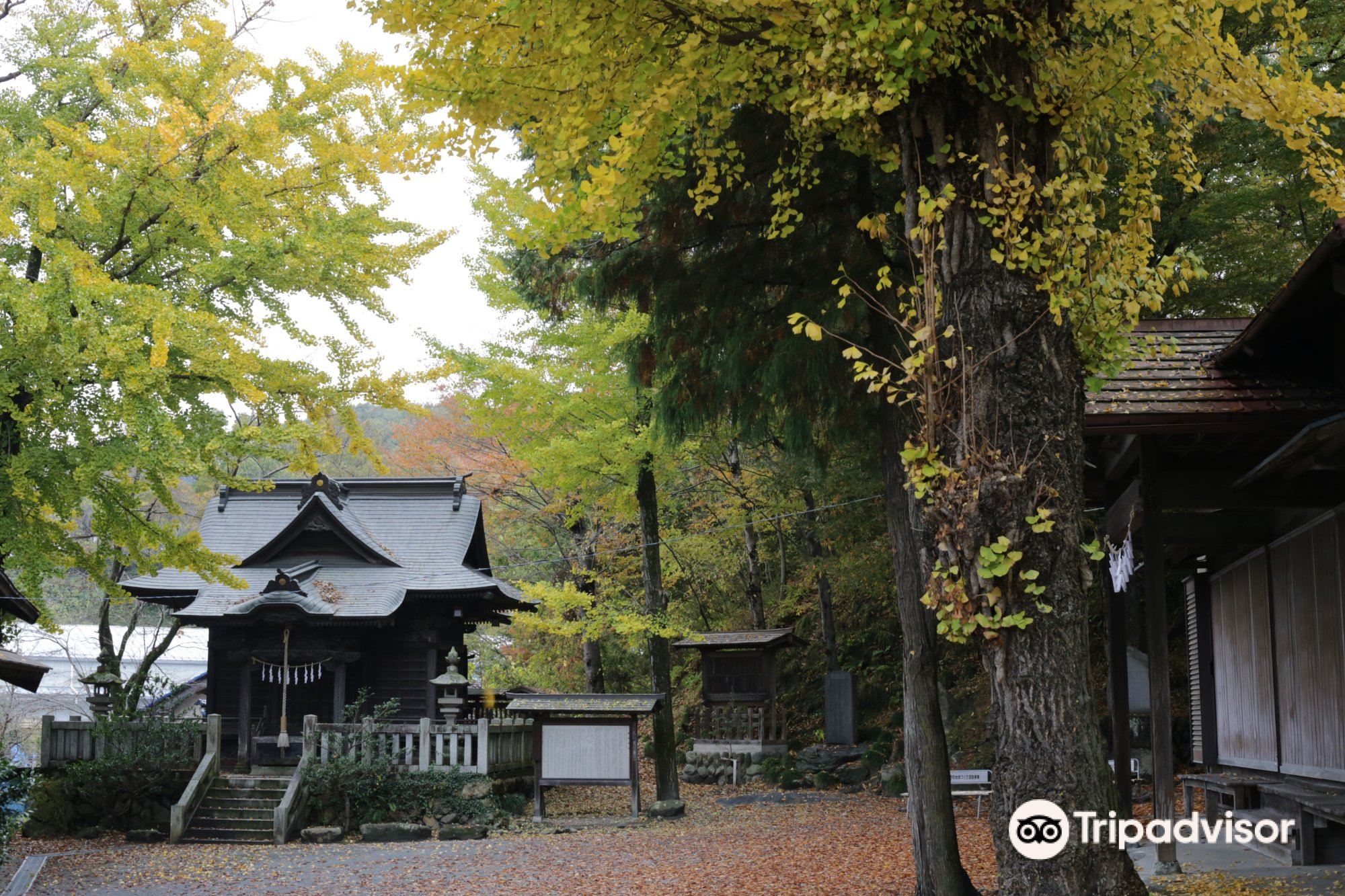 Suisenji Temple Attraction Reviews Suisenji Temple Tickets Suisenji Temple Discounts Suisenji Temple Transportation Address Opening Hours Attractions Hotels And Food Near Suisenji Temple Trip Com