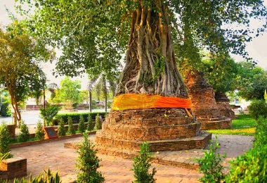 วิหารพระมงคลบพิตร รูปภาพAttractionsยอดนิยม