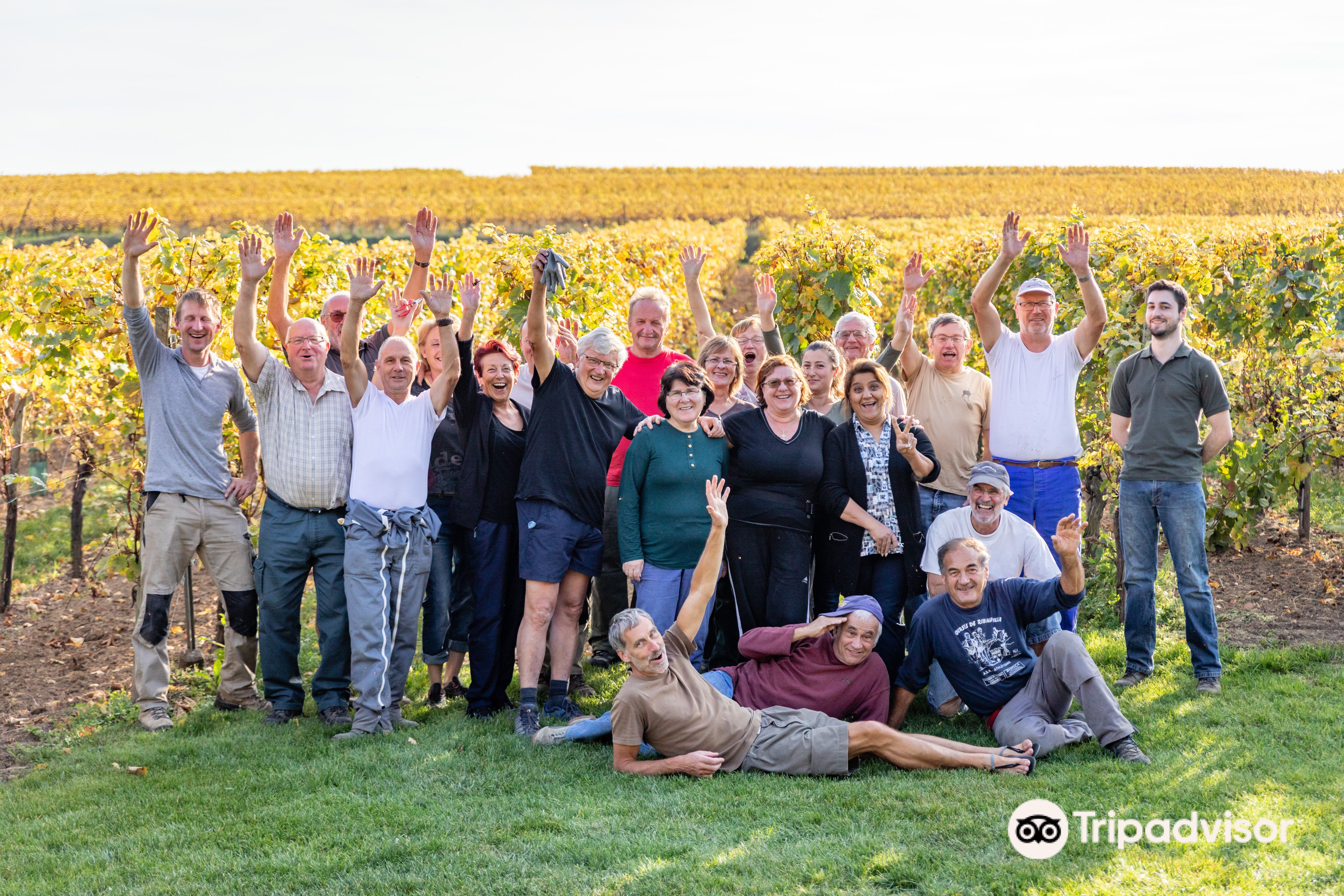 Domaine Joseph Gruss Son Fine Wines Of Alsace Domaine Joseph Gruss & Son (Fine Wines of Alsace) attraction reviews - Domaine  Joseph Gruss & Son (Fine Wines of Alsace) tickets - Domaine Joseph Gruss &  Son (Fine Wines of Alsace)