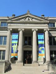 University of Iowa Museum of Natural History