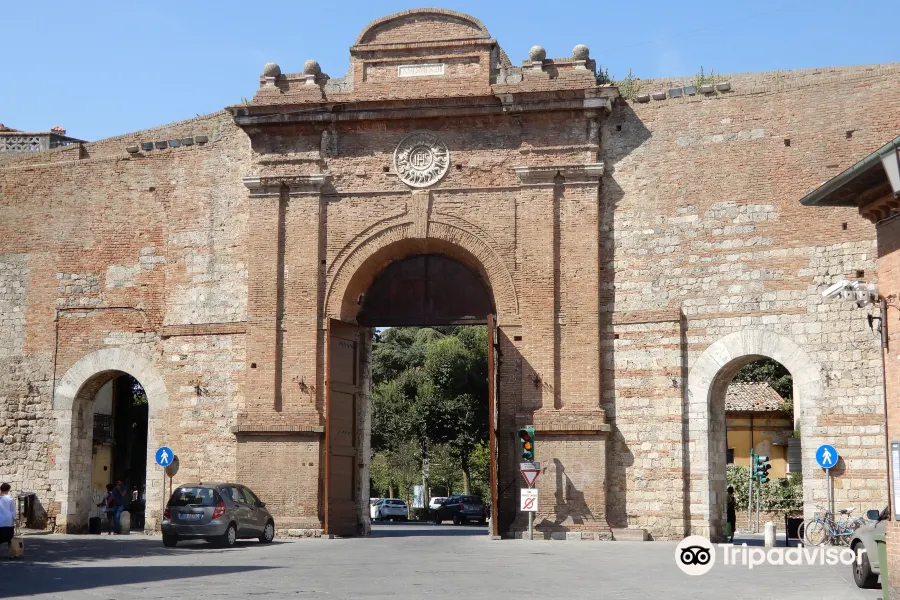 Porta Camollia2