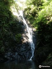Kongo Falls