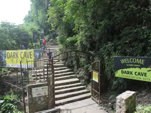 Dark Cave Malaysia