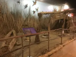 Buena Vista Museum of Natural History & Science