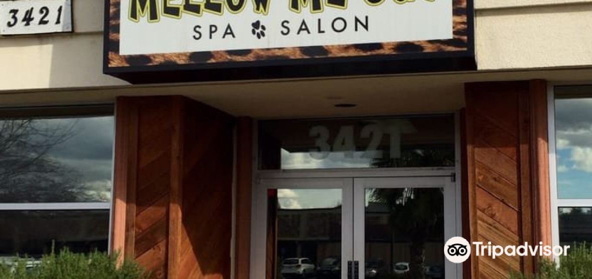 กิจกรรมน่าทำยอดนิยมในArdenArcadeประจำปี 2023 คู่มือท่องเที่ยวArden