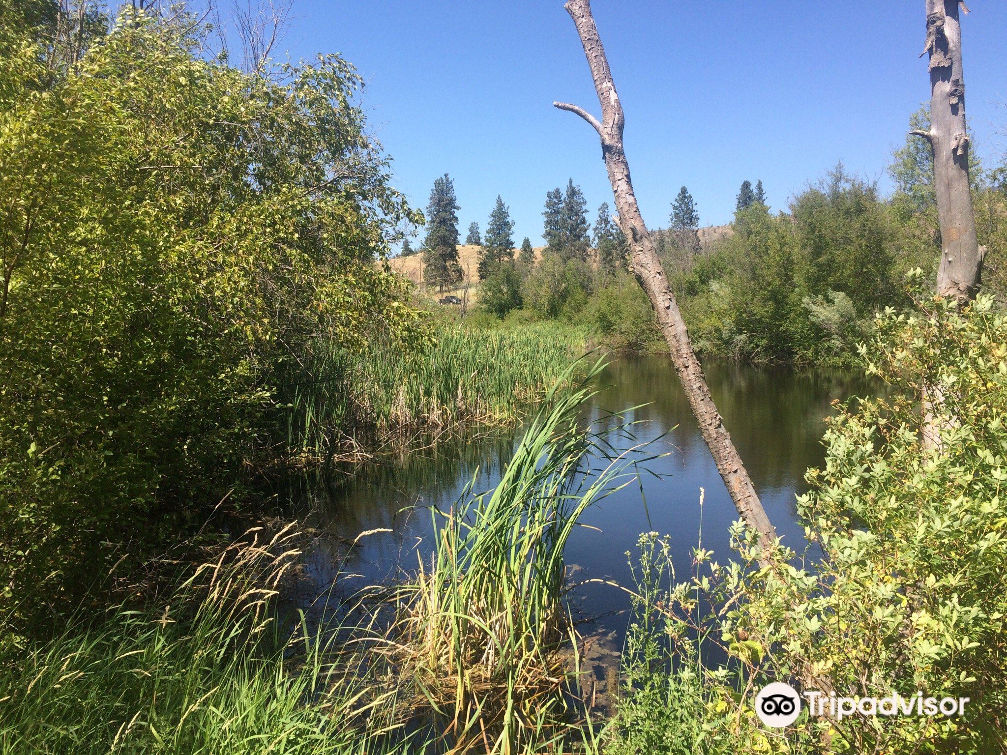 7???Vaseux Lake Provincial Park.?????????????????????????????????2023??????Vaseux Lake Provincial
