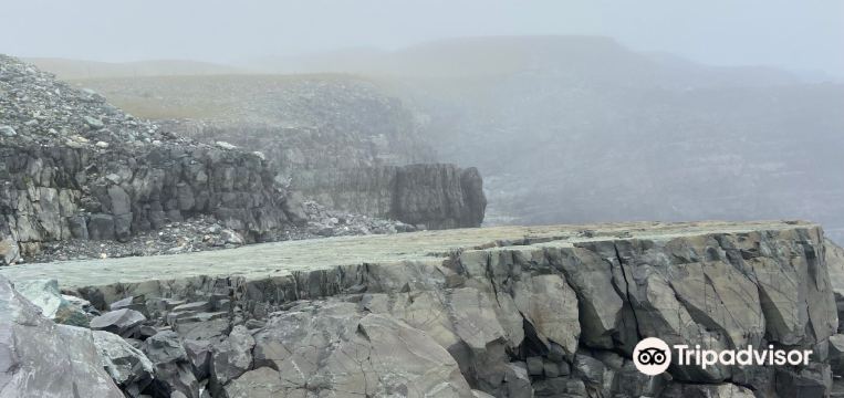 กิจกรรมน่าทำยอดนิยมในPortugal Cove Southประจำปี 2023 คู่มือท่องเที่ยว