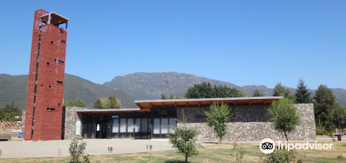 Alto Bio Bio 2023 Top Things to Do Alto Bio Bio Travel Guides Top