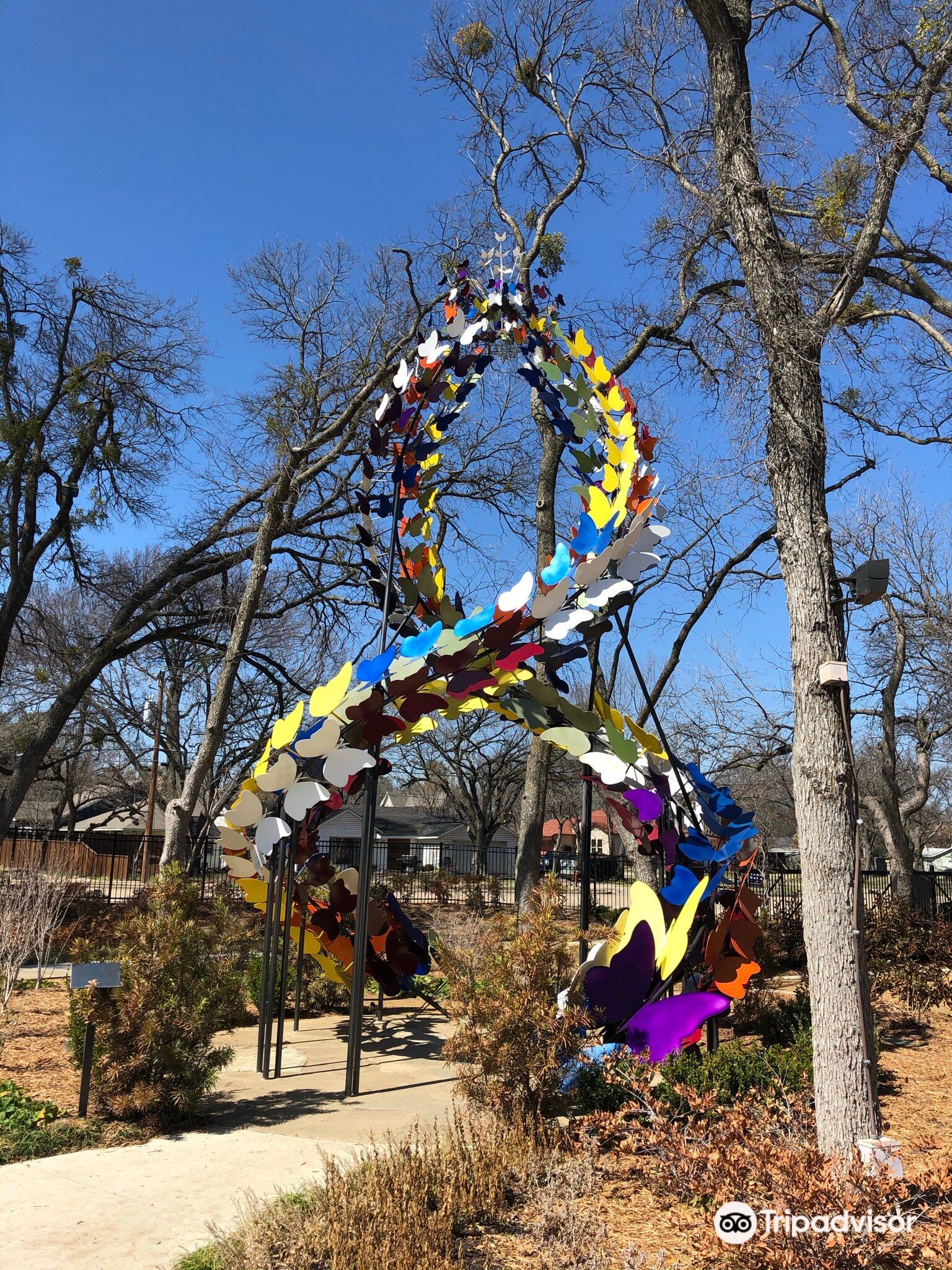 are dogs allowed at the grapevine botanical gardens