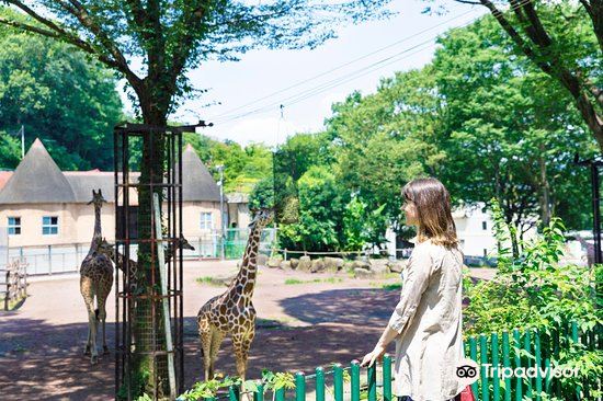 多摩動物公園旅遊攻略指南 多摩動物公園評價 多摩動物公園附近推薦 Trip Com