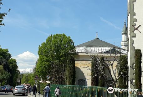 Mosque of Genève