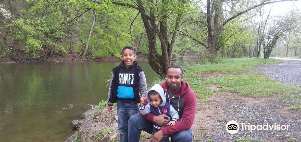 กิจกรรมน่าทำยอดนิยมในLoyalsock Townshipประจำปี 2023 คู่มือท่องเที่ยว