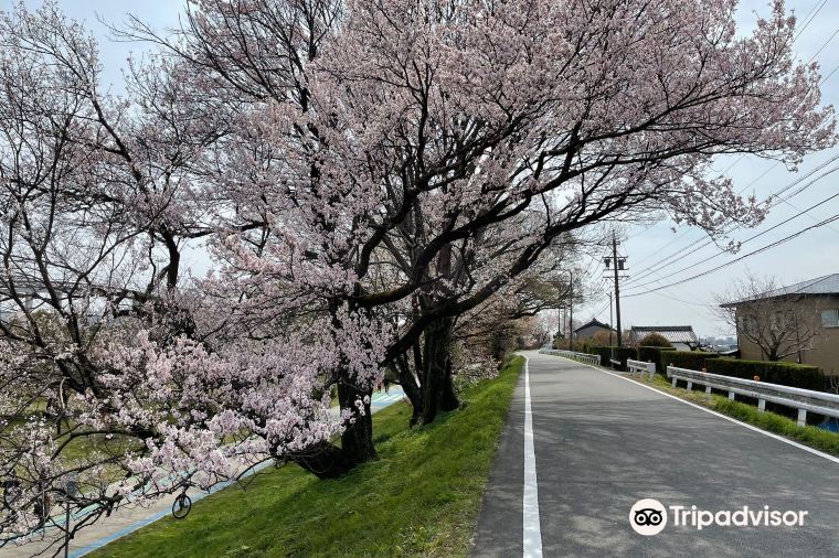 Ichinomiya 2022 Top Things to Do - Ichinomiya Travel Guides - Top