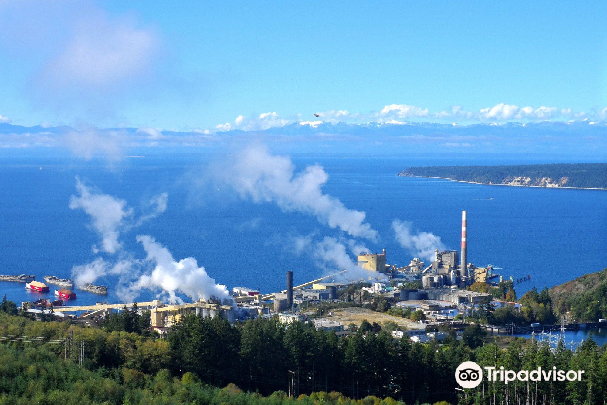 powell and sons chimney phone number