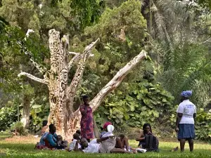 Aburi Botanical Garden