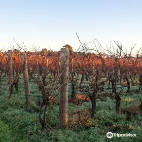 Brook Eden Vineyard
