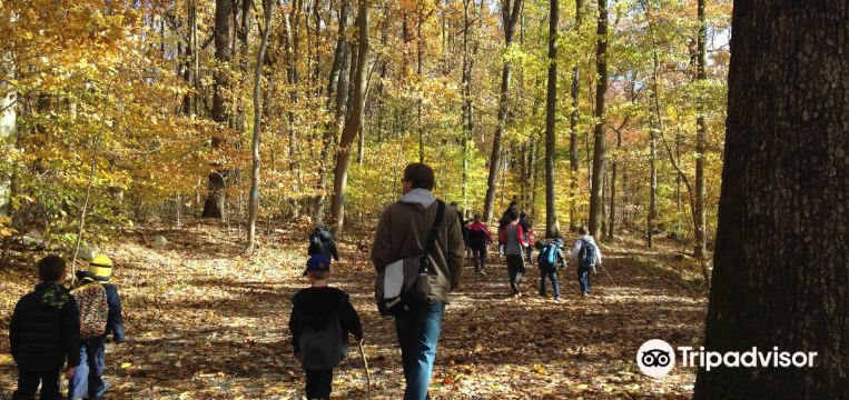 West Caln Township Travel Guide 2023 Things to Do, What To Eat & Tips