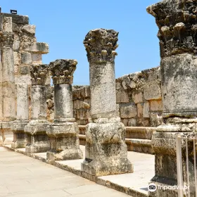 Capharnaum the Town of Jesus