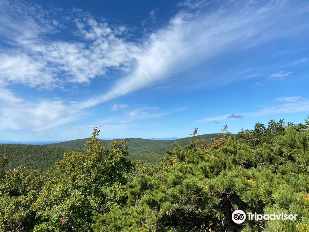 Bear Mountain景點評價 Bear Mountain門票 Bear Mountain優惠 Bear Mountain交通 地址 開放時間 Bear Mountain附近景點 酒店及美食 Trip Com