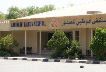 Abu Dhabi Falcon Hospital Popular Attractions Photos