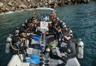 Octopus Dive Center 熱門景點照片