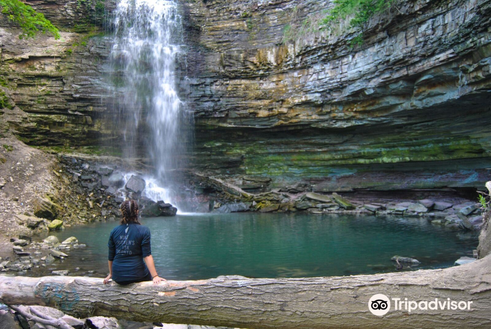 Chedoke Falls Trail Map Chedoke Falls Attraction Reviews - Chedoke Falls Tickets - Chedoke Falls  Discounts - Chedoke Falls Transportation, Address, Opening Hours -  Attractions, Hotels, And Food Near Chedoke Falls - Trip.com