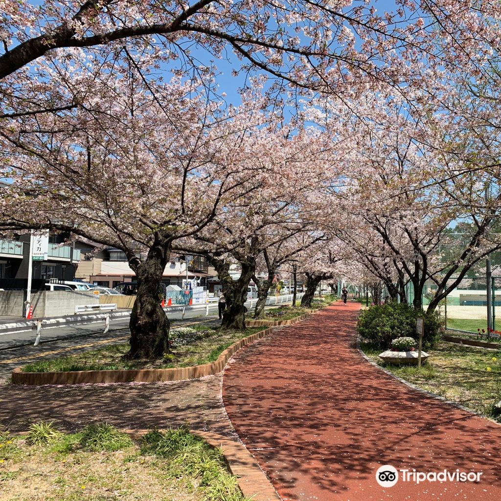 Sanno Park景點評價 Sanno Park門票 Sanno Park優惠 Sanno Park交通 地址 開放時間 Sanno Park附近景點 酒店及美食 Trip Com