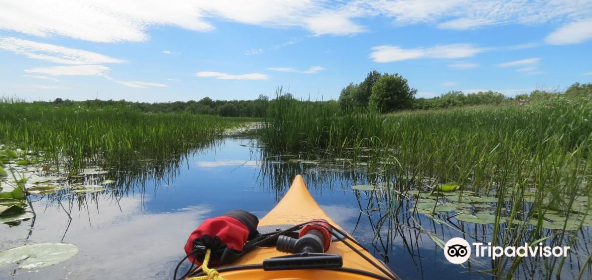 SainteAnnedeSorel Travel Guide 2023 Things to Do, What To Eat