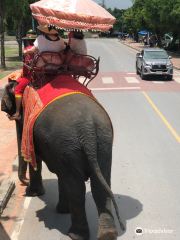 Ayutthaya Elephant Palace & Royal Kraal