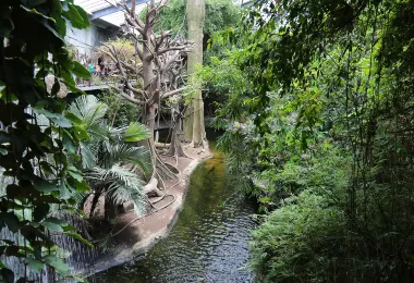 Omaha's Henry Doorly Zoo and Aquarium รูปภาพAttractionsยอดนิยม
