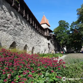 Danish King's Garden