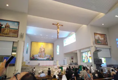Cathedral of the Immaculate Conception of the Blessed Virgin Mary Popular Attractions Photos