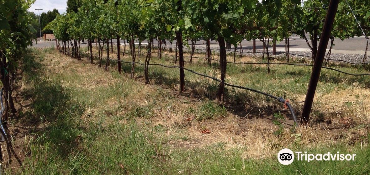 Grandview 2023 Top Things to Do Grandview Travel Guides Top