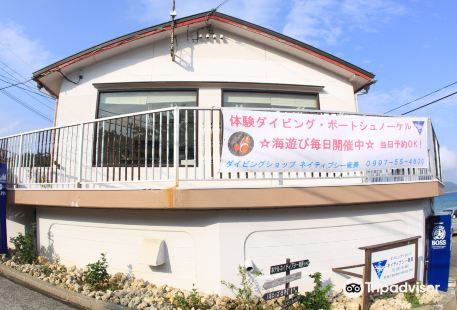 Amami Oshima Diving Shop Native Sea Amami