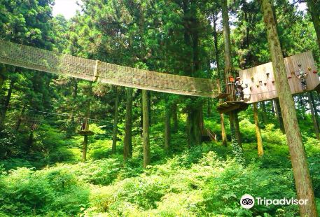 Forest Adventure Itoshima
