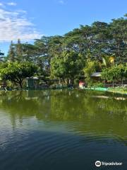 Hobby Garden Hawaii