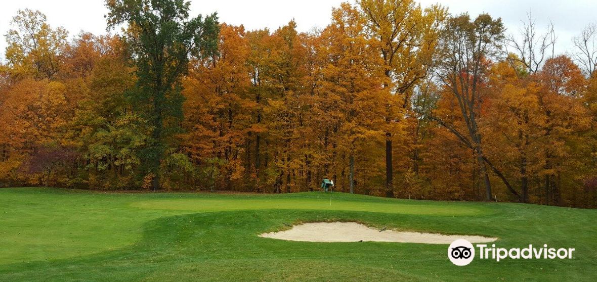 กิจกรรมน่าทำยอดนิยมในBronson Townshipประจำปี 2023 คู่มือท่องเที่ยว