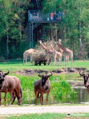 Serengeti Park Hodenhagen - "Safari Adventure in the middle of Europe"