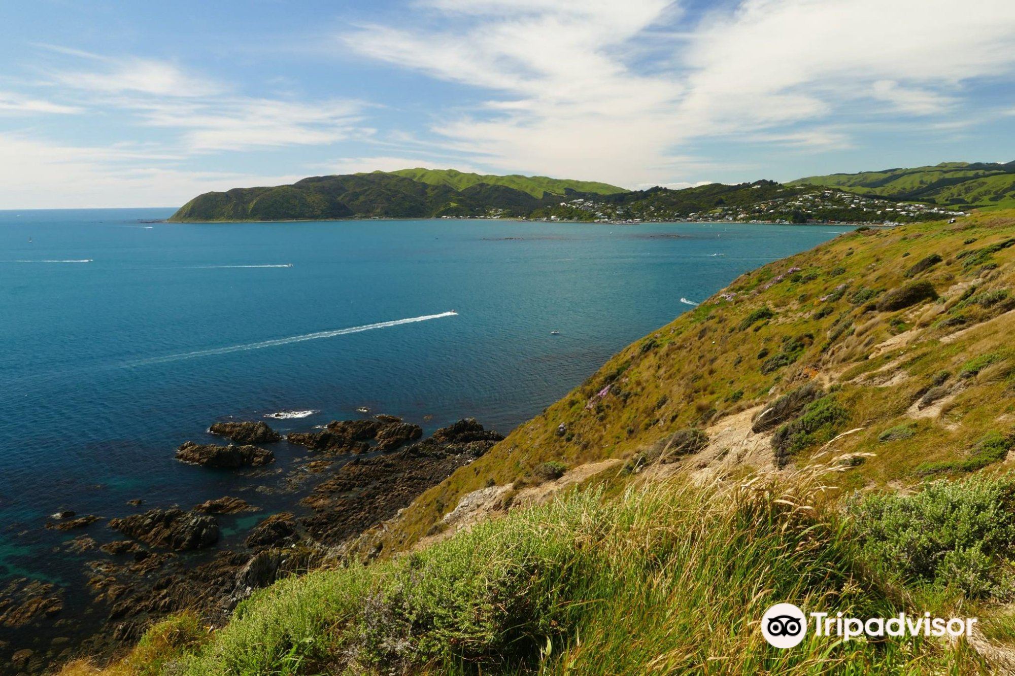 Plimmerton Beach Travel Guidebook Must Visit Attractions In Wellington Plimmerton Beach Nearby Recommendation Trip Com