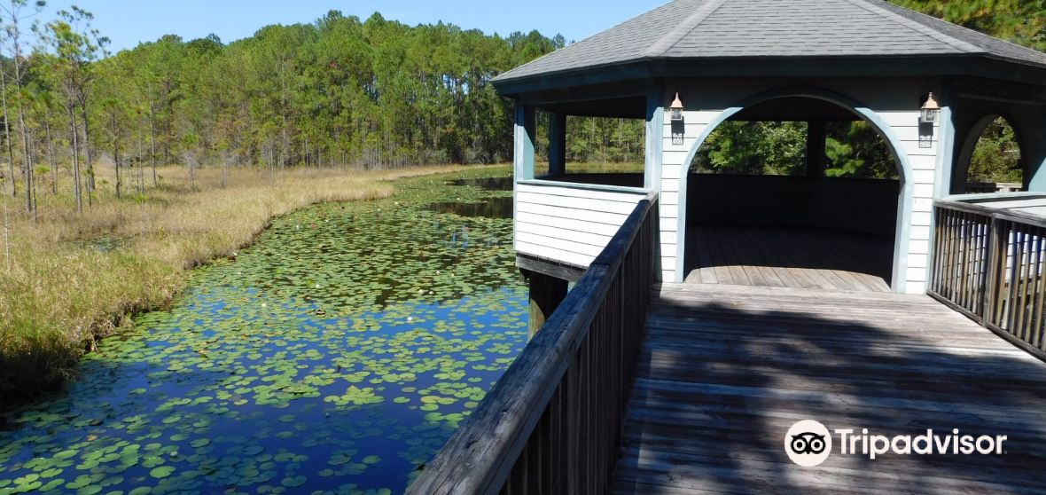 Jasper County Travel Guide 2023 Things to Do, What To Eat & Tips