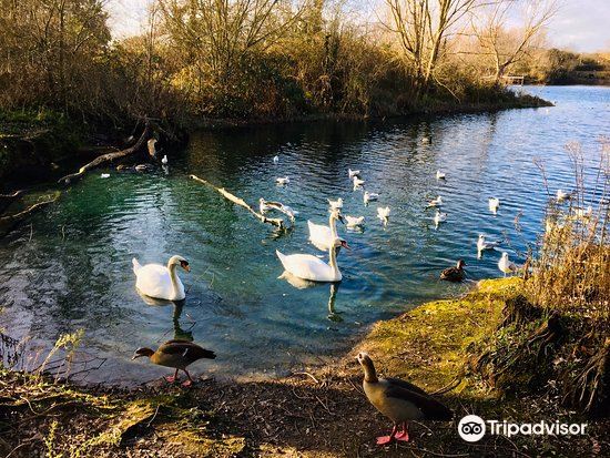 Eastbrookend Country Park Travel Guidebook Must Visit Attractions In Dagenham Eastbrookend Country Park Nearby Recommendation Trip Com Eastbrookend Country Park Travel Guidebook Must Visit Attractions In Dagenham Eastbrookend Country Park Nearby Recommendation Trip Com