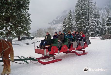 Icicle Outfitters Winter Sleigh Ride