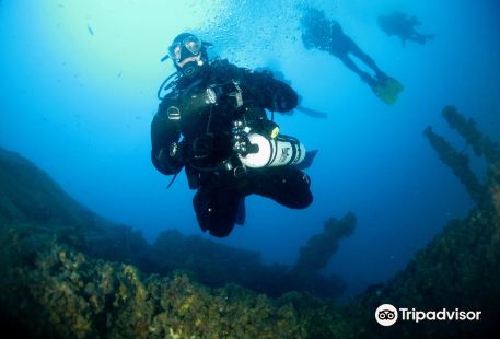 Acquelibere Sub Diving Club