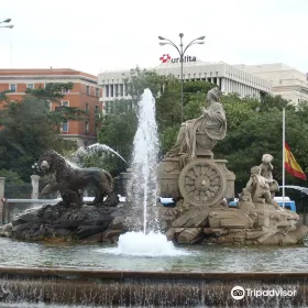 Madrid BusVision